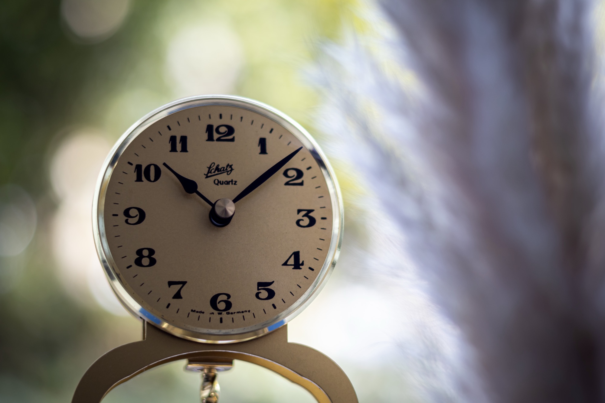 Analoge Uhr mit scharfem Zifferblatt neben Pampasgras vor einem weich verschwommenen grünen Hintergrund.